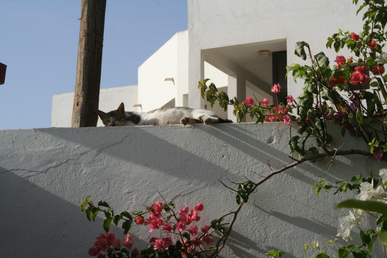 Auberge Keur Diame Дакар Екстериор снимка